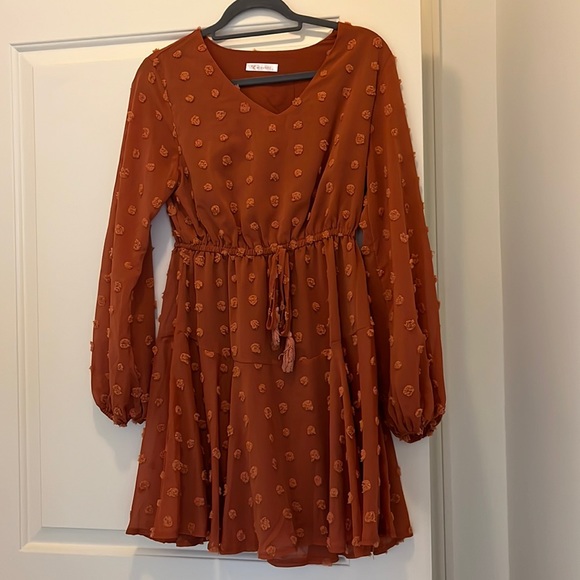 Long sleeve tie waist dress with polka dot details. Size small - Picture 1 of 6